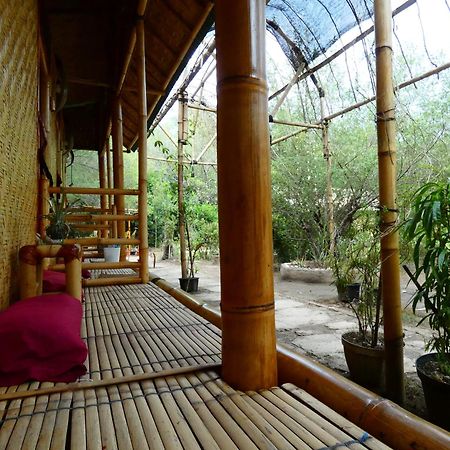 Uncle Hippie'S Dream Hostel Gili Meno Bagian luar foto