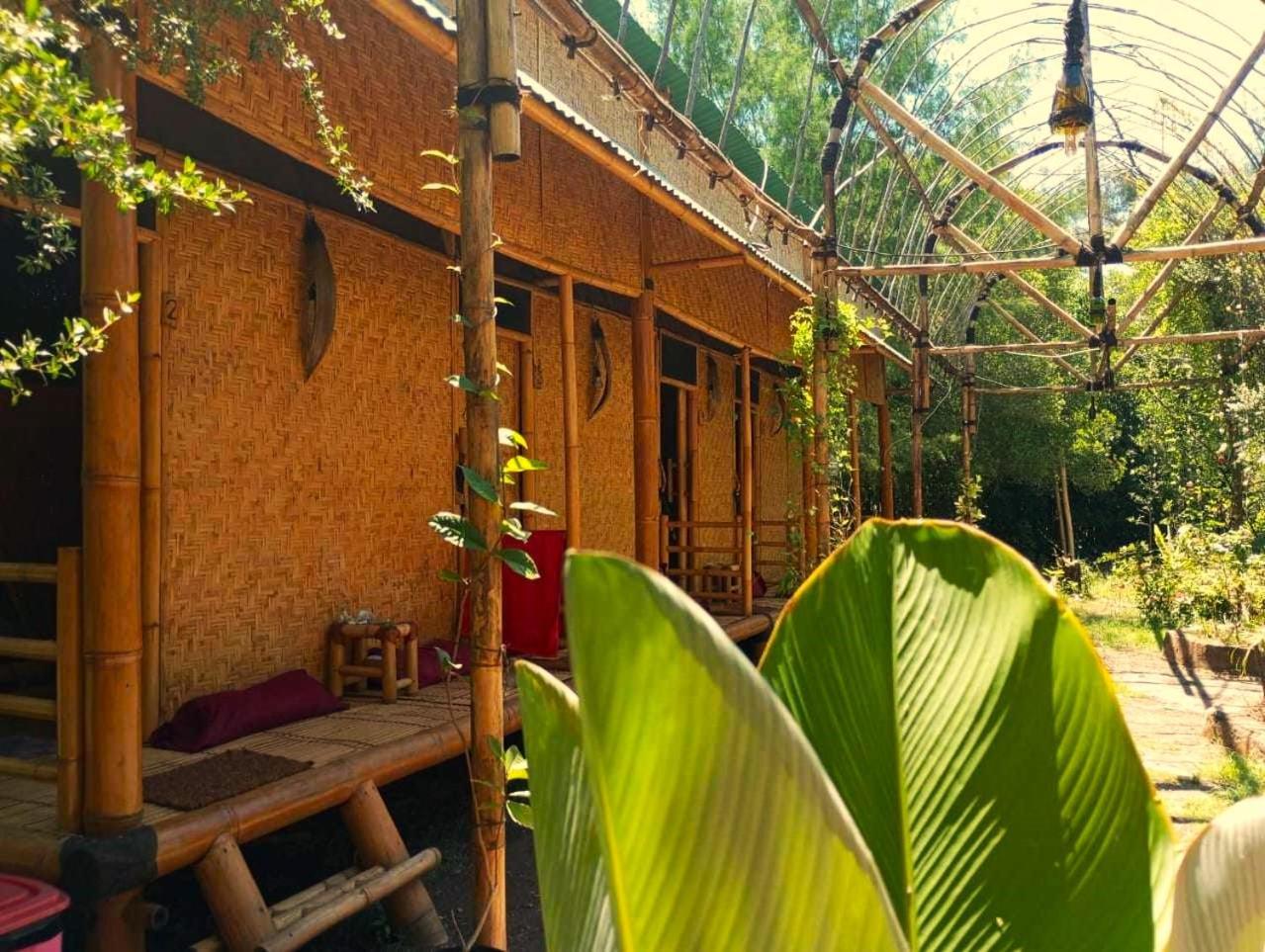 Uncle Hippie'S Dream Hostel Gili Meno Bagian luar foto