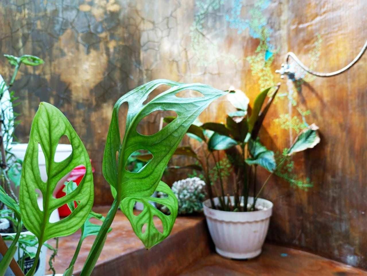 Uncle Hippie'S Dream Hostel Gili Meno Bagian luar foto